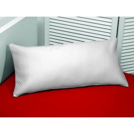 TRITON 10145275