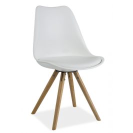 Casarredo Jídelní židle ERIC bílá