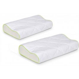 Set 2 polštářů Eucalyptus Anatomic 49x32x20